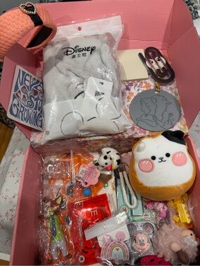 Disney and More Variety Mystery Box